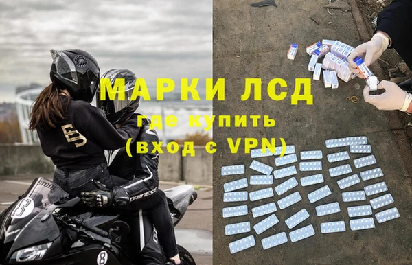 сатива Алзамай